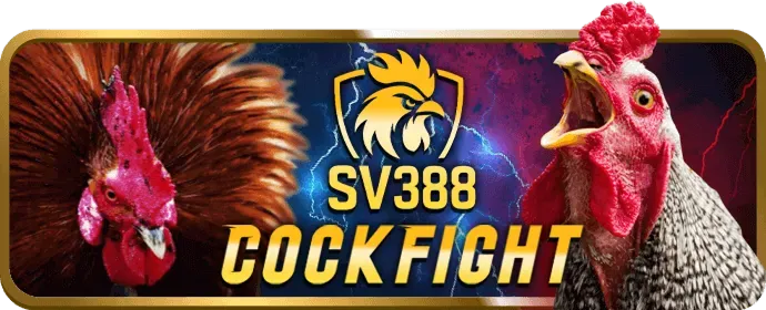 Ưu đãi và khuyến mãi trò chơi Slot tại q79 nhà cái